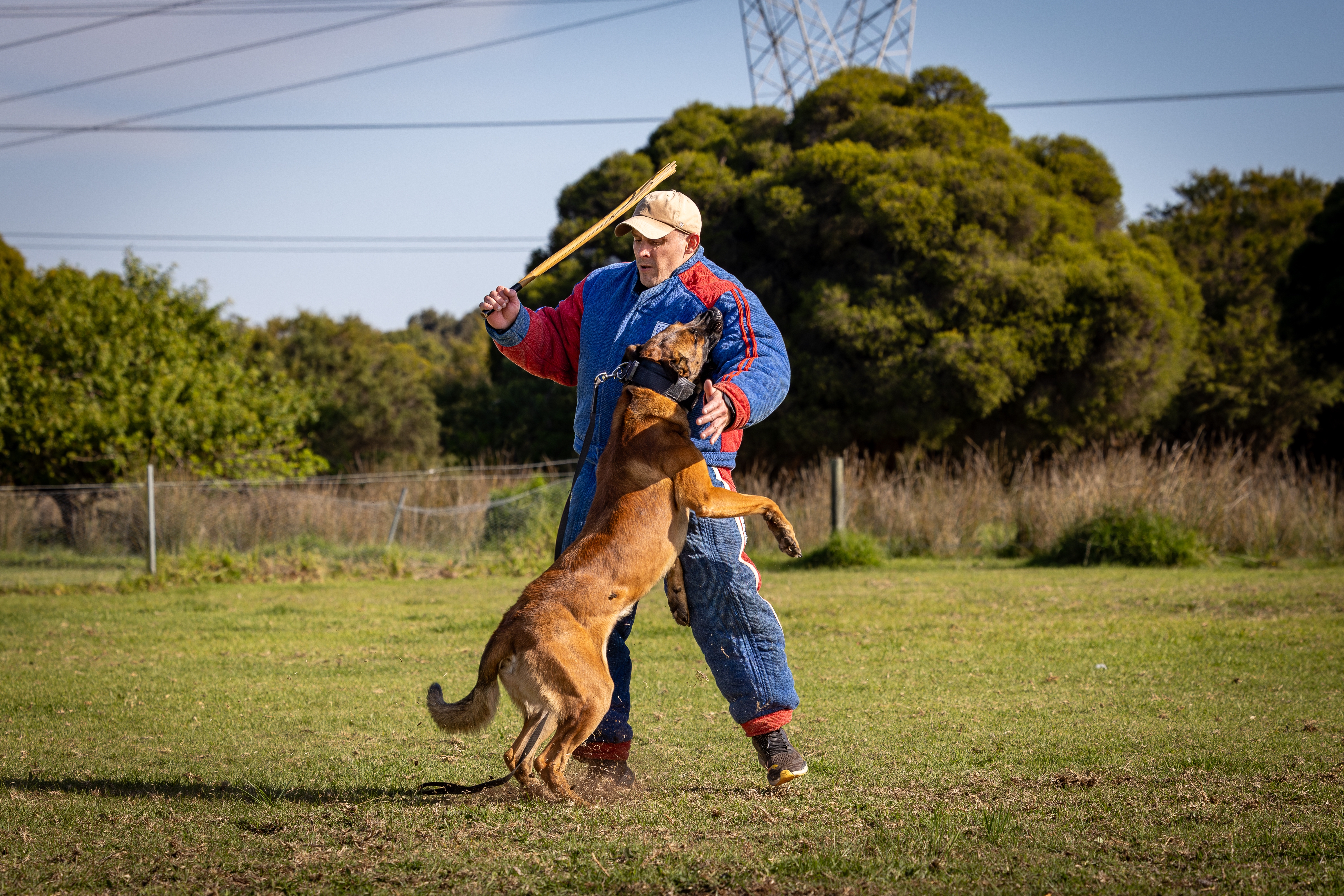 Protection & Sport Training